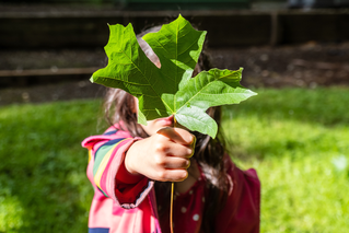 girl holding up green leaf