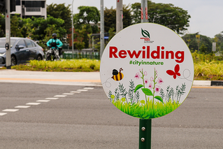 Rewilding sign
