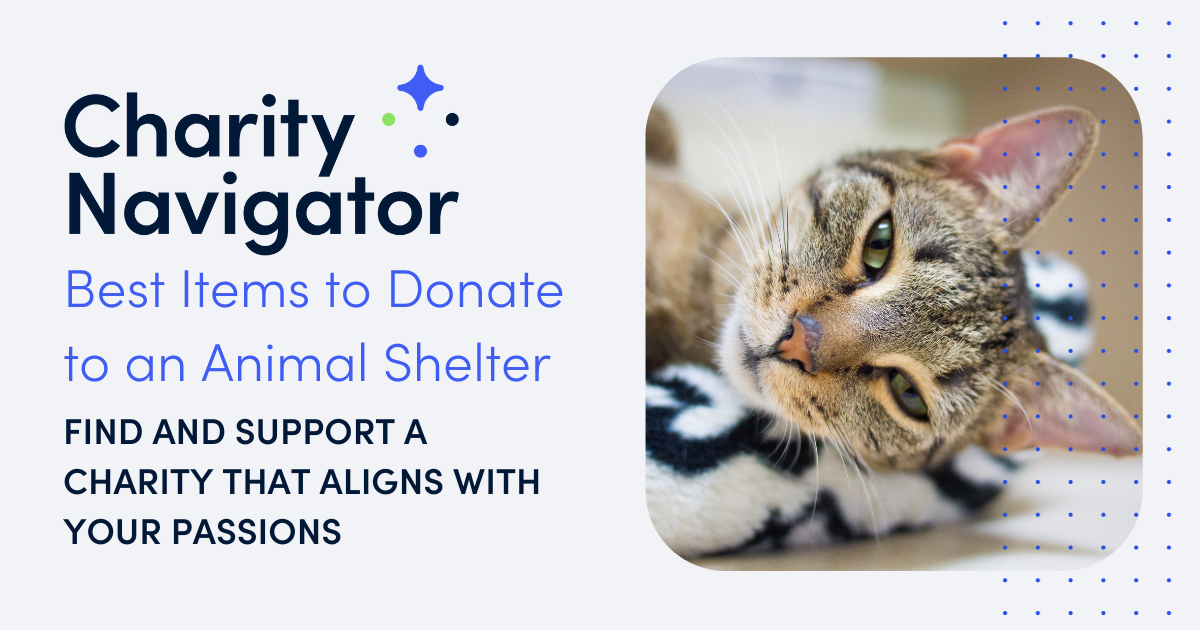 Best Items to Donate to an Animal Shelter | Charity Navigator