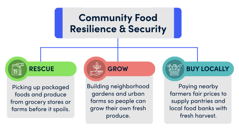 Graphic explaining the following bullet points for Community Food Resilience and Security